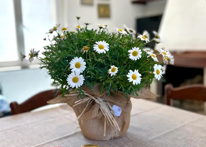 Nura's - Casa Le Rose